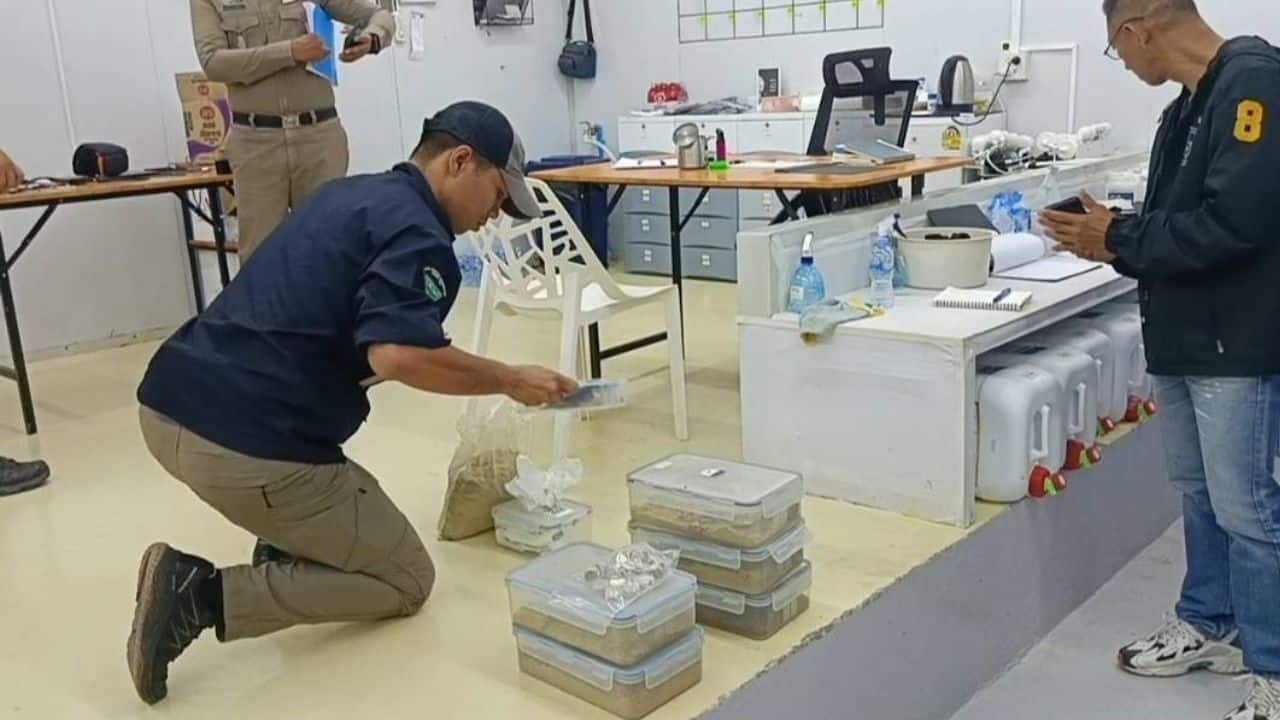 Israeli man arrested in Krabi cannabis extract factory raid