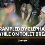 Nakhon Nayok man trampled by wild elephant during toilet break | Thaiger
