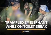 Nakhon Nayok man trampled by wild elephant during toilet break | Thaiger