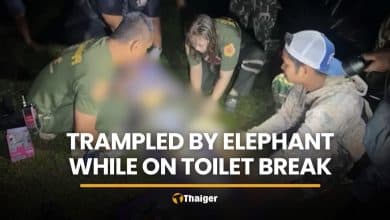 Nakhon Nayok man trampled by wild elephant during toilet break | Thaiger