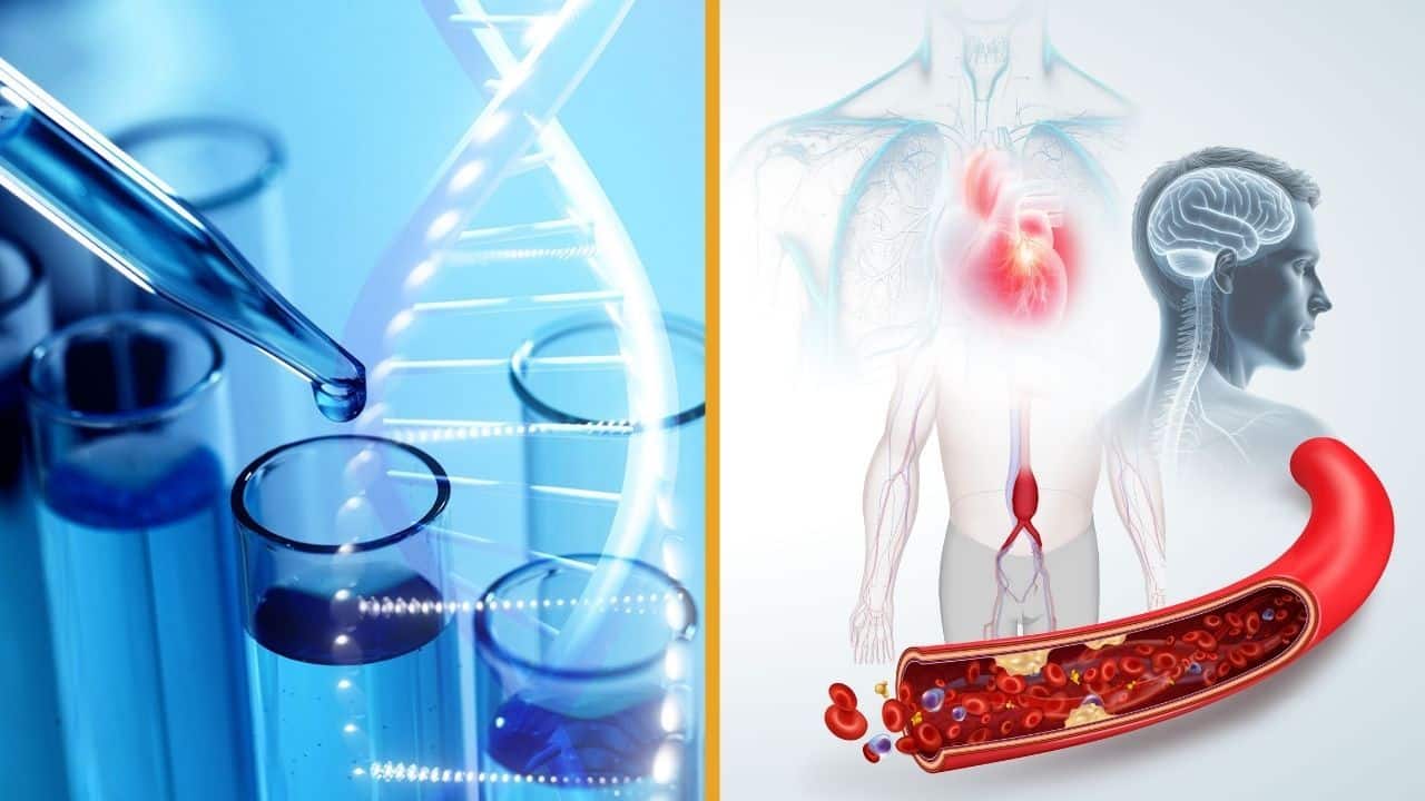 MedPark raises awareness of sudden death to help understand risks originated from the heart, brain, and sleep | News by Thaiger