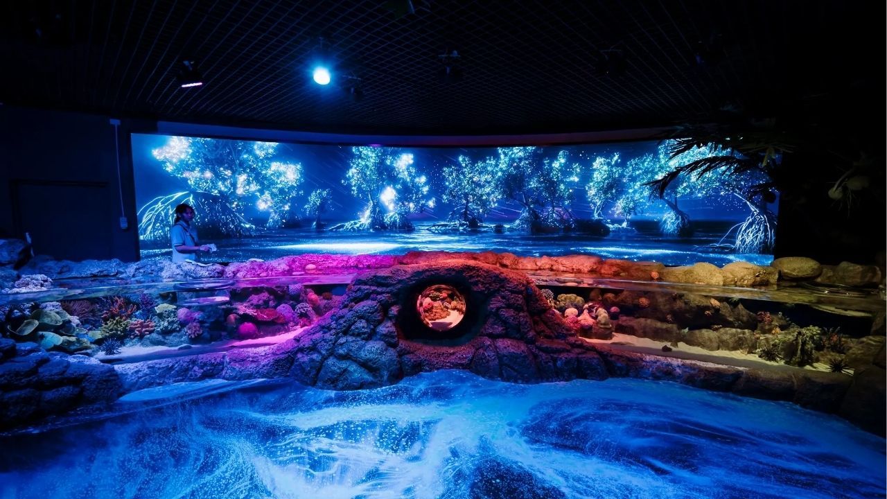 A vibrant scene from the Glowing Ocean event at Sea Life Bangkok showcasing illuminated marine life.