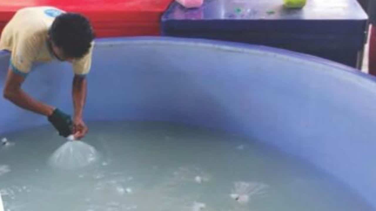 Fake coconut water in Samut Songkhram