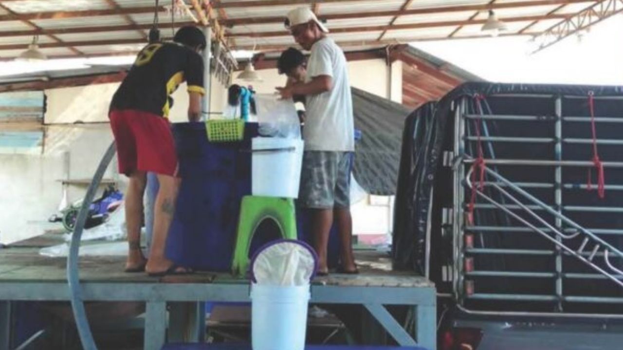 Fake coconut water crackdown