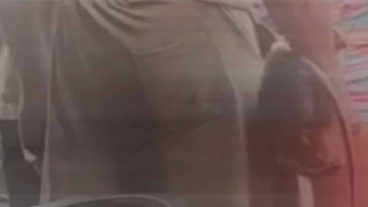 Pattaya monkey abuse