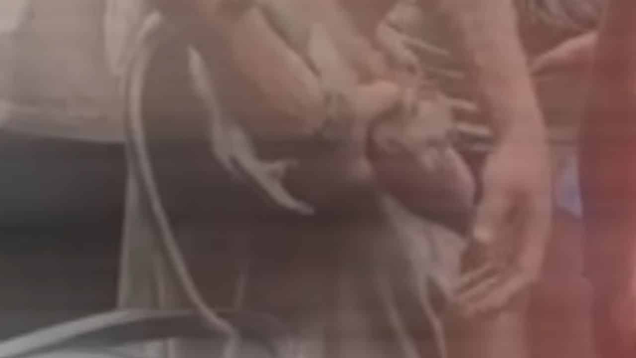 Foreign man abuses monkey in Pattaya