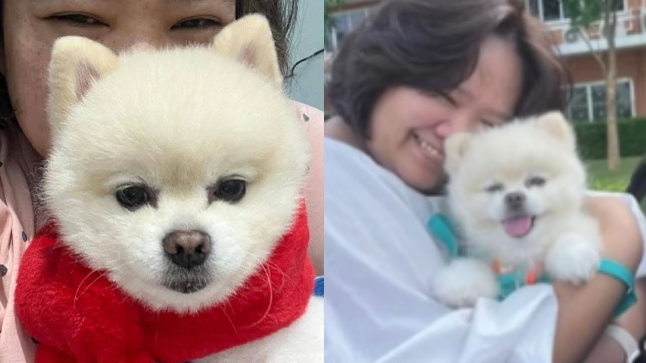 Dog owner reunites with her pet after dispute with caretaker