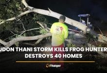 Udon Thani storm kills frog hunter, destroys 40 homes | Thaiger