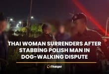 Thai woman surrenders after stabbing Polish man in dog-walking dispute | Thaiger