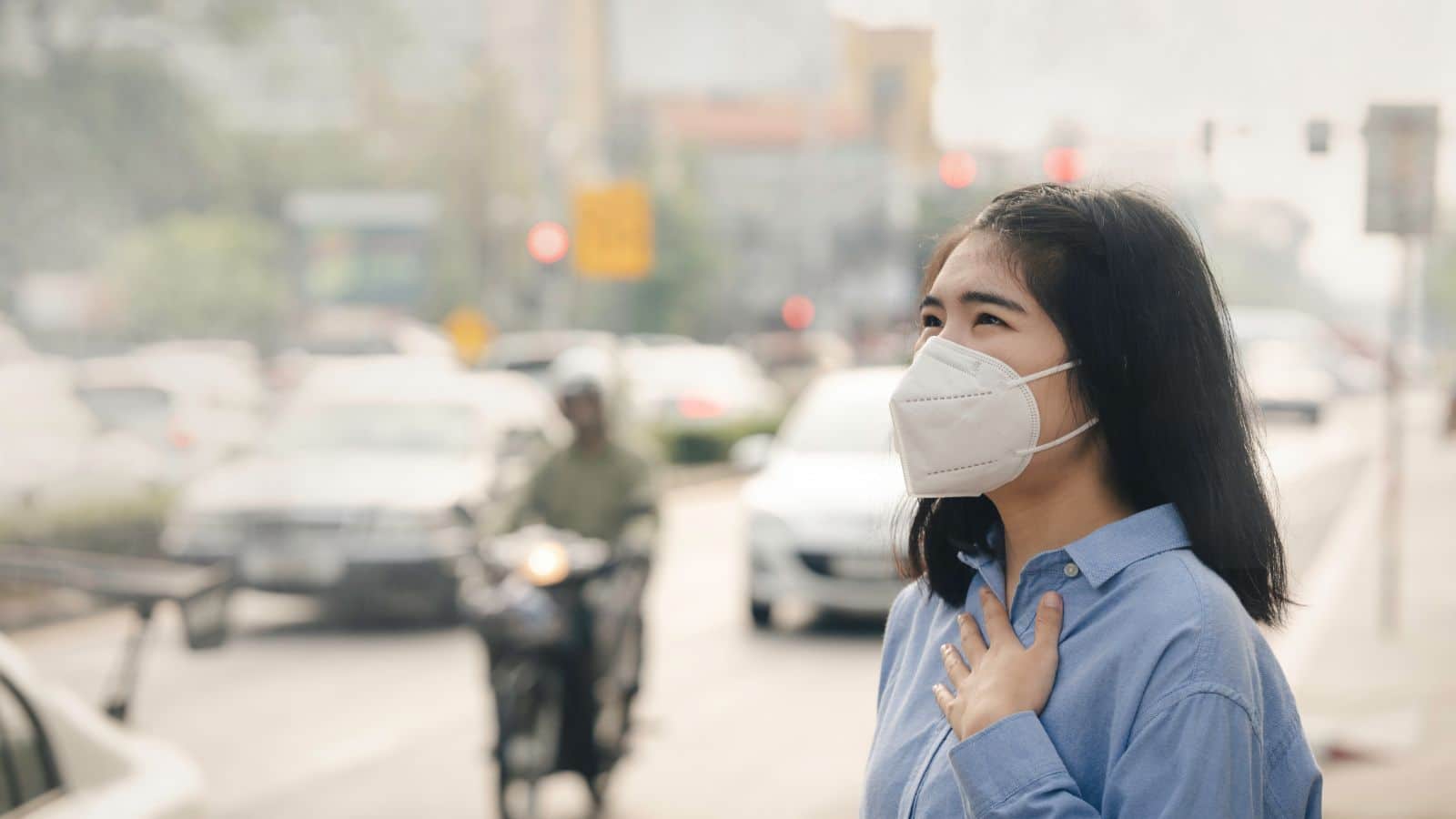 Northern Thailand declared emergency disaster zone over air quality | News by Thaiger