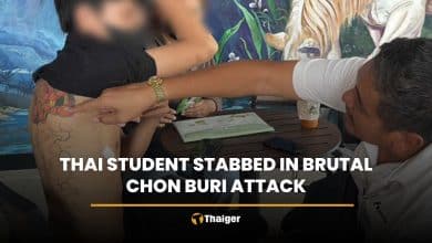 Thai student stabbed in brutal Chon Buri attack | Thaiger