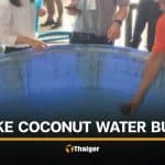 Samut Songkhram officials launch crackdown on fake coconut water | Thaiger