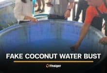 Samut Songkhram officials launch crackdown on fake coconut water | Thaiger