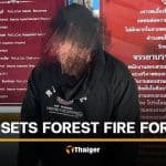 Thai man arrested for deliberately starting forest fire in Phitsanulok for ‘fun’ | Thaiger