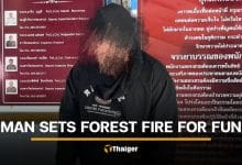 Thai man arrested for deliberately starting forest fire in Phitsanulok for entertainment | Thaiger