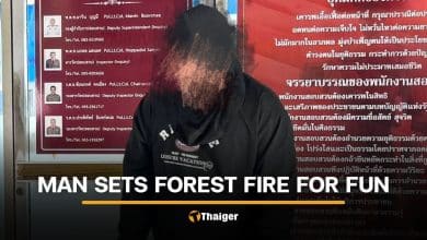 Thai man arrested for deliberately starting forest fire in Phitsanulok for ‘fun’ | Thaiger
