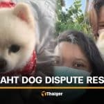 Thai woman forced to pay 100,000 baht to retrieve her dog from caretaker | Thaiger