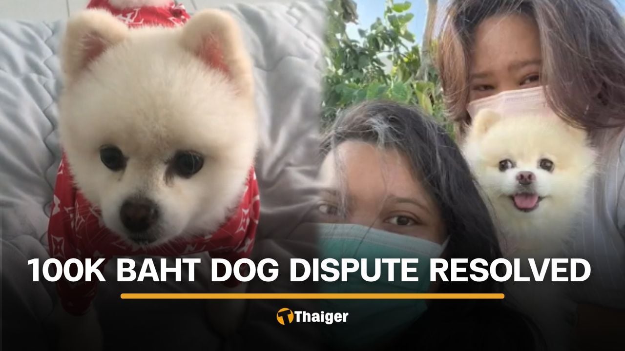 Thai woman forced to pay 100,000 baht to retrieve her dog from caretaker | Thaiger