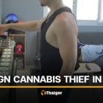 Foreign man steals from Krabi cannabis shop while staff sleeps | Thaiger