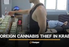 Foreign man steals from Krabi cannabis shop while staff sleeps | Thaiger
