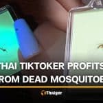 Thai TikToker goes viral for turning dead mosquitoes into keychains | Thaiger