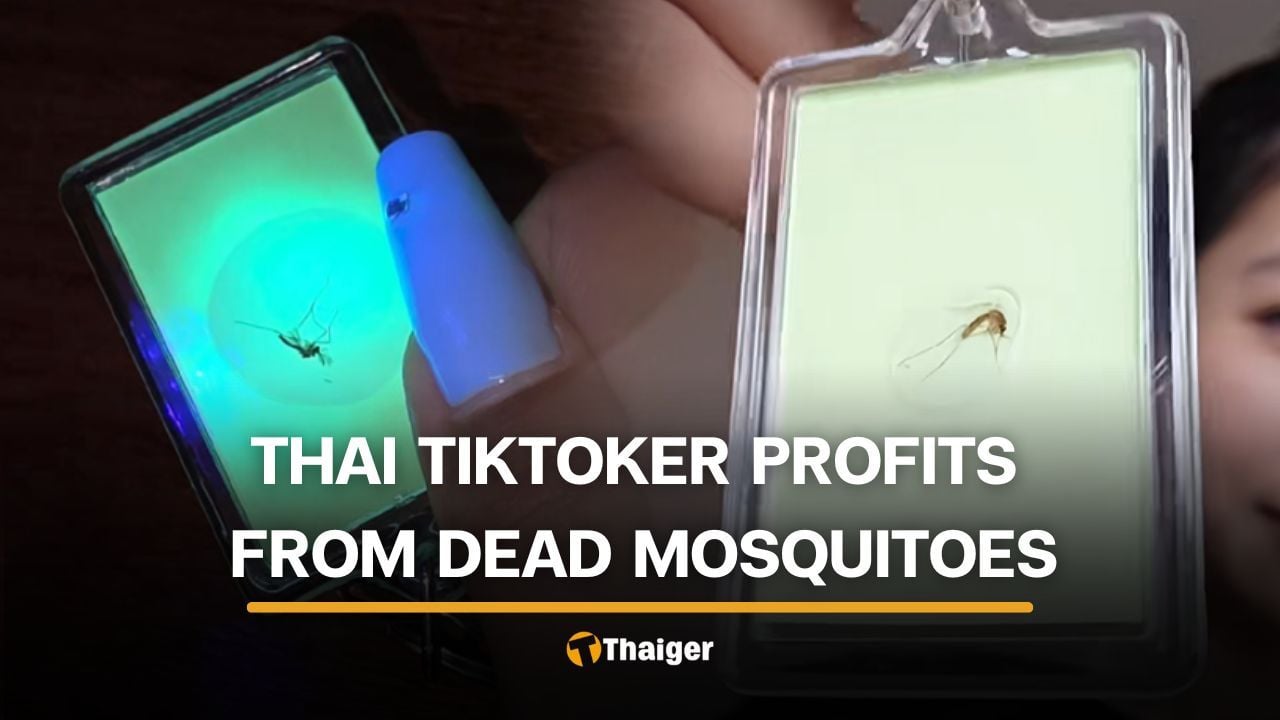 Thai TikToker goes viral for turning dead mosquitoes into keychains | Thaiger