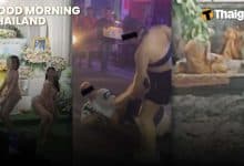 Thailand News | Pattaya Bar fight leaves German Tourist hurt, Family turns funeral into farewell celebration in Nakhon Si Thammarat | Thaiger