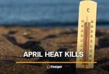Thailand’s April heat can kill, but it can also bankrupt you | Thaiger