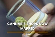 Thailand launches online map to track cannabis shops nationwide | Thaiger