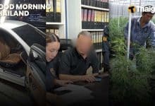 Thailand News | BMW reverses into crowd, injuring five foreigners in Pattaya, Thailand launches cannabis shop tracking map | Thaiger