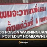 Homeowner posts poison warning banner over neighbour’s dogs | Thaiger