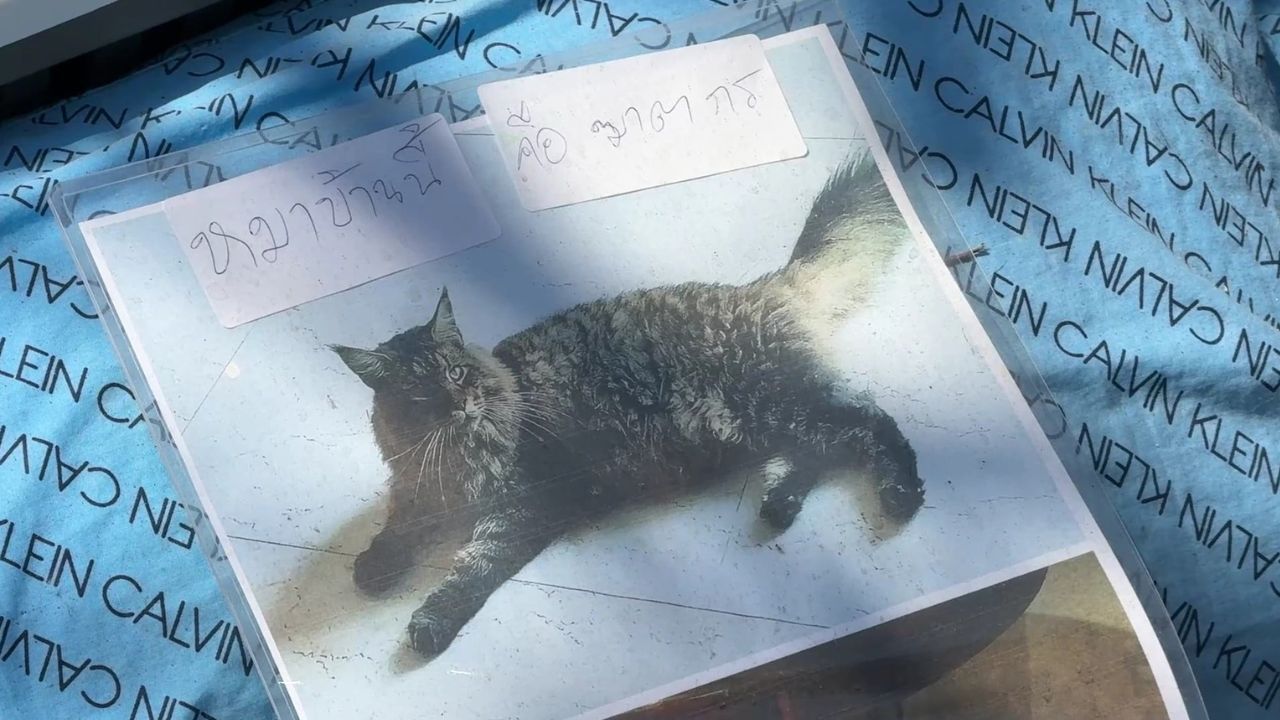 A poison warning banner drew online criticism after a homeowner said a neighbour’s dogs had escaped for years and attacked pets and people.