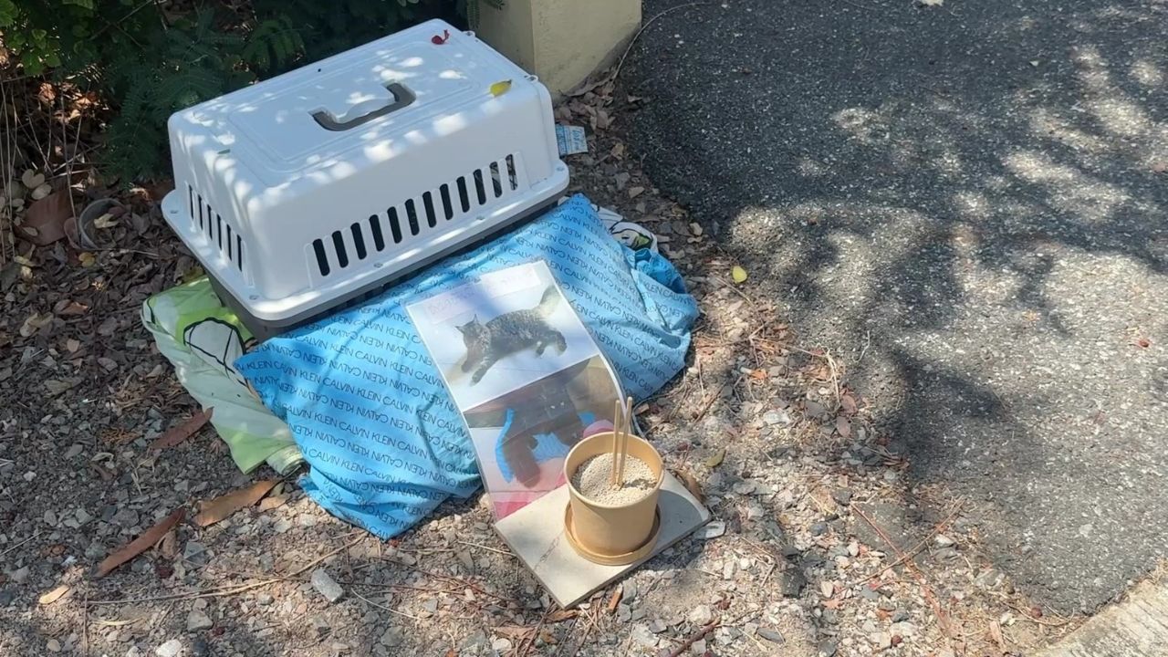 A poison warning banner drew online criticism after a homeowner said a neighbour’s dogs had escaped for years and attacked pets and people.