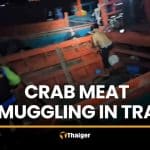 Six Cambodians held in Trat crab meat smuggling case | Thaiger