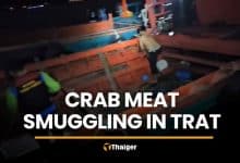 Six Cambodians held in Trat crab meat smuggling case | Thaiger