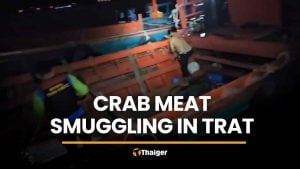 Six Cambodians held in Trat crab meat smuggling case | Thaiger