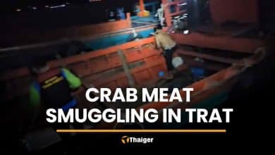 Six Cambodians held in Trat crab meat smuggling case | Thaiger