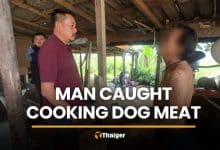 Man caught cooking dog meat at Udon Thani home | Thaiger