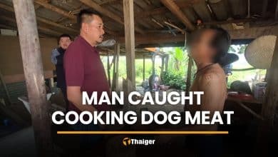 Man caught cooking dog meat at Udon Thani home | Thaiger