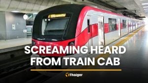 Woman’s screams from Red Line train cab alarm passengers | Thaiger