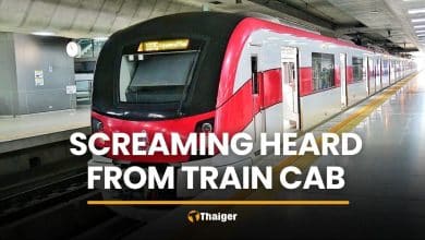 Woman’s screams from Red Line train cab alarm passengers | Thaiger