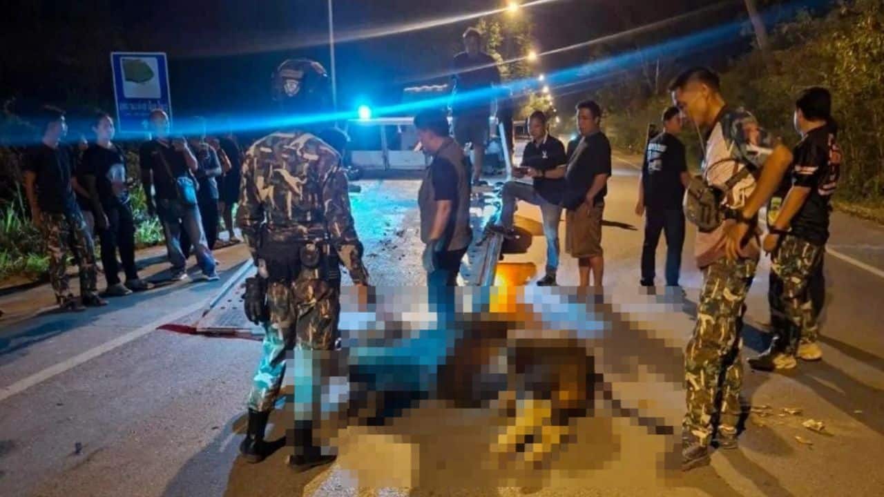 A car hit and killed a wild gaur crossing a road near Khao Yai, while the driver survived the crash without serious injury.