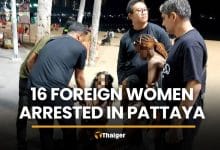 Pattaya prostitution crackdown nets 16 foreign women | Thaiger