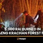 Kaeng Krachan forest fire burns 5,000 rai in Phetchaburi | Thaiger