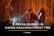 Kaeng Krachan forest fire burns 5,000 rai in Phetchaburi | Thaiger
