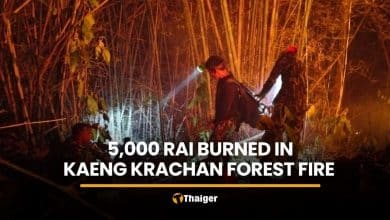 Kaeng Krachan forest fire burns 5,000 rai in Phetchaburi | Thaiger