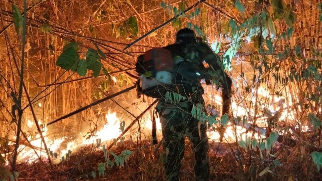 Officials are investigating a wildfire in Kaeng Krachan after flames spread across 5,000 rai, and two gaurs were found dead.