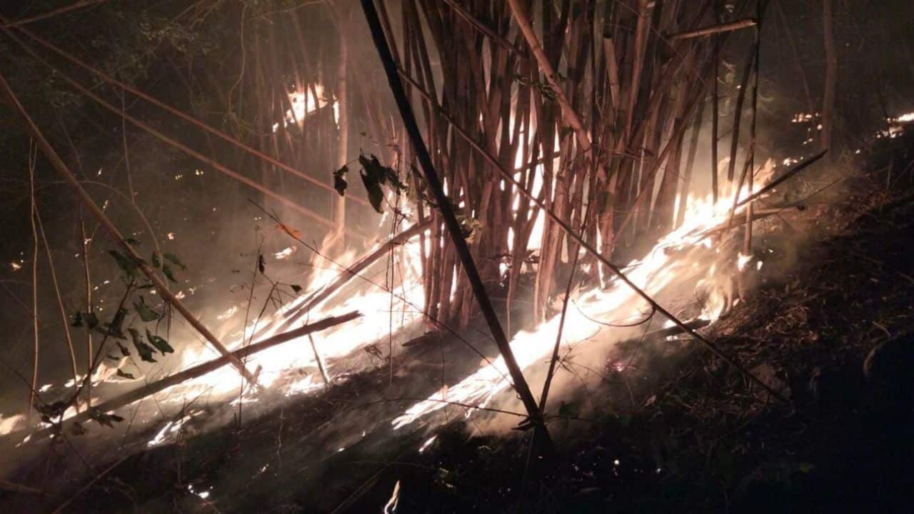 Officials are investigating a wildfire in Kaeng Krachan after flames spread across 5,000 rai, and two gaurs were found dead.