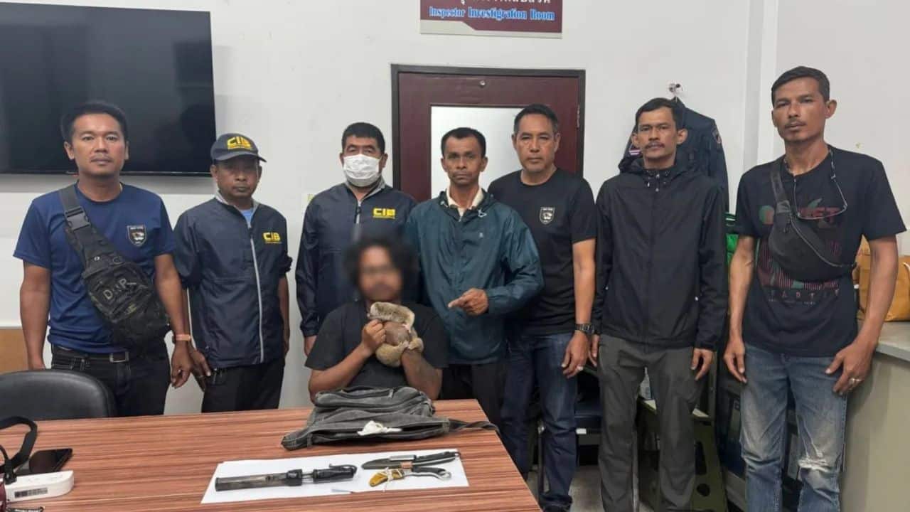 A man was arrested in Phuket after complaints that a protected slow loris was being carried around for tourist photo opportunities.