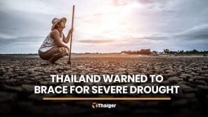 Thailand could face severe drought in 2027, agencies warn | Thaiger